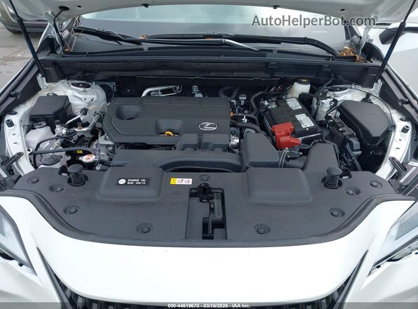 2T2GDCAZ0SC029519 2025 LEXUS NX 250 White Rear view