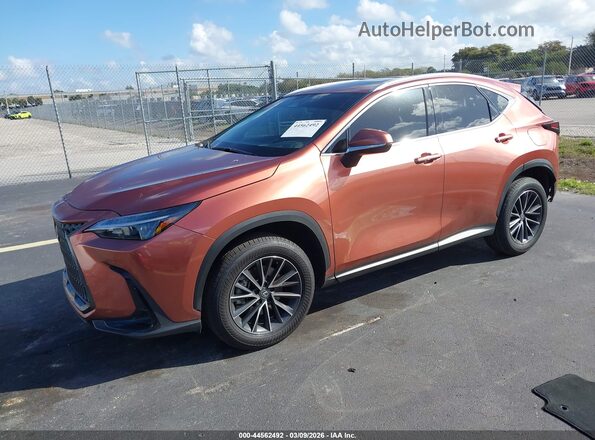 2T2GDCAZ1SC027200 2025 LEXUS NX 250 Brown Առջևի ձախ երեք քառորդ տեսարան