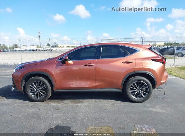 2T2GDCAZ1SC027200 2025 LEXUS NX 250 Brown Սալոնի 360 աստիճան տեսք