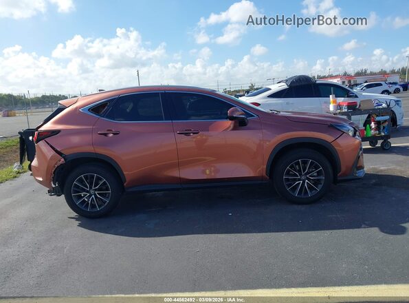 2T2GDCAZ1SC027200 2025 LEXUS NX 250 Brown Սալոնի հետևի տեսք