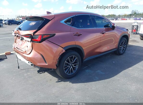2T2GDCAZ1SC027200 2025 LEXUS NX 250 Brown Հետևի աջ
