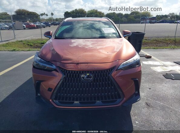 2T2GDCAZ1SC027200 2025 LEXUS NX 250 Brown Սարքավորումների վահանակի տեսք