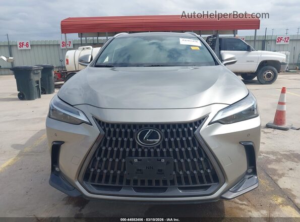 2T2GDCAZ3RC006004 2024 LEXUS NX 250 Silver Widok wnętrza z tyłu