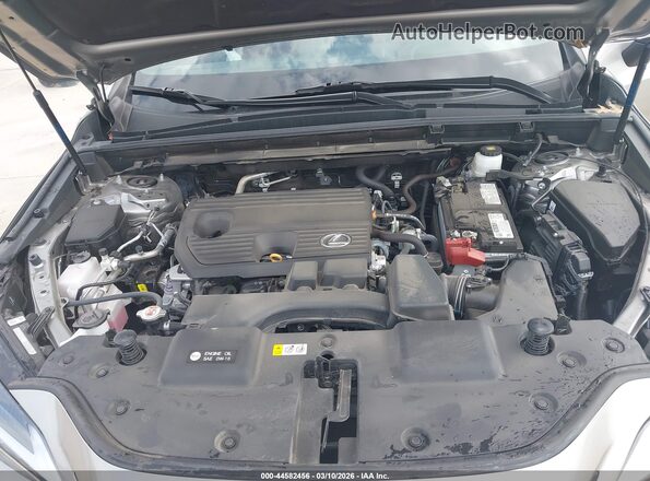 2T2GDCAZ3RC006004 2024 LEXUS NX 250 Silver Widok z tyłu