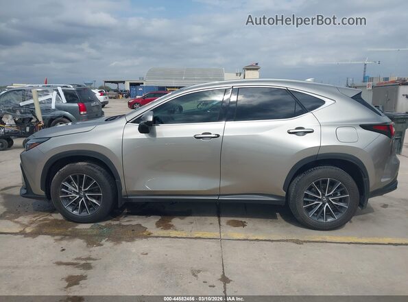 2T2GDCAZ3RC006004 2024 LEXUS NX 250 Silver 