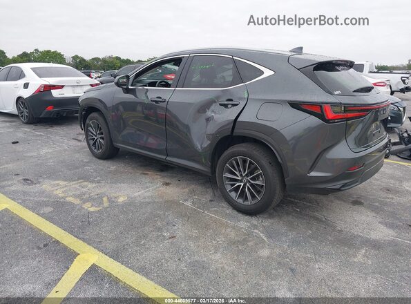 2T2GDCAZ4SC029393 2025 LEXUS NX 250 Gray Задня ліва чверть