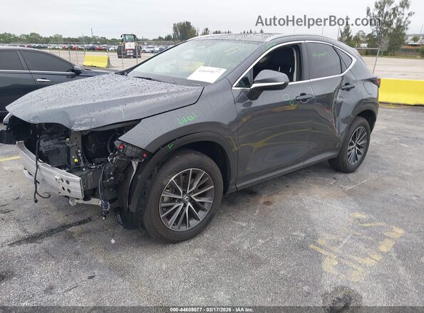 2T2GDCAZ4SC029393 2025 LEXUS NX 250 Gray Передня ліва чверть
