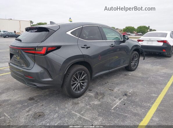 2T2GDCAZ4SC029393 2025 LEXUS NX 250 Gray Задня права чверть