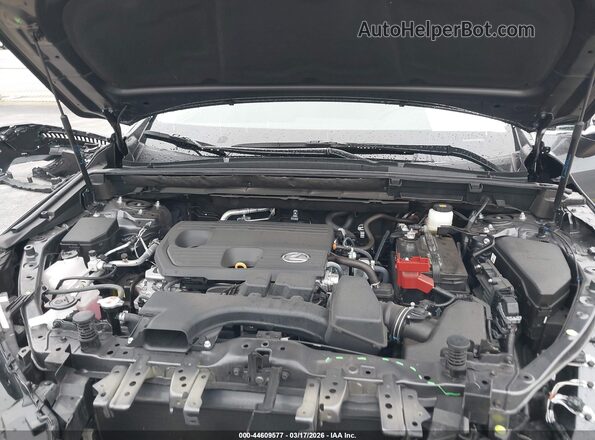 2T2GDCAZ4SC029393 2025 LEXUS NX 250 Gray Вид ззаду