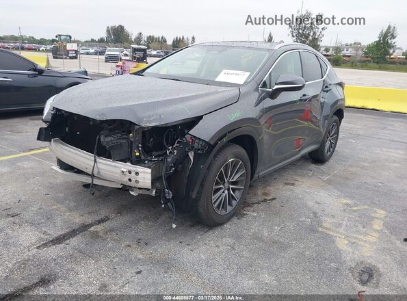 2T2GDCAZ4SC029393 2025 LEXUS NX 250 Gray Вид спереду