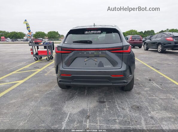 2T2GDCAZ4SC029393 2025 LEXUS NX 250 Gray 