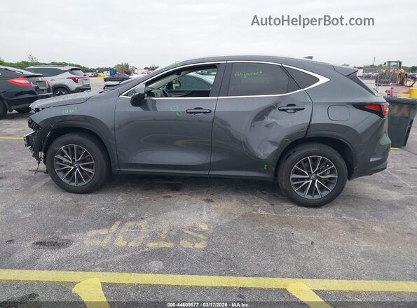 2T2GDCAZ4SC029393 2025 LEXUS NX 250 Gray 