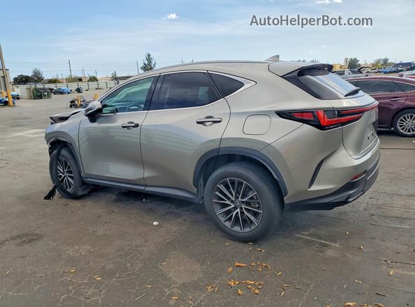 2T2GDCAZ6PC004907 2023 LEXUS NX Gray Задня ліва чверть