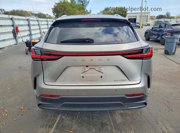 2T2GDCAZ6PC004907 2023 LEXUS NX Gray Вид ззаду
