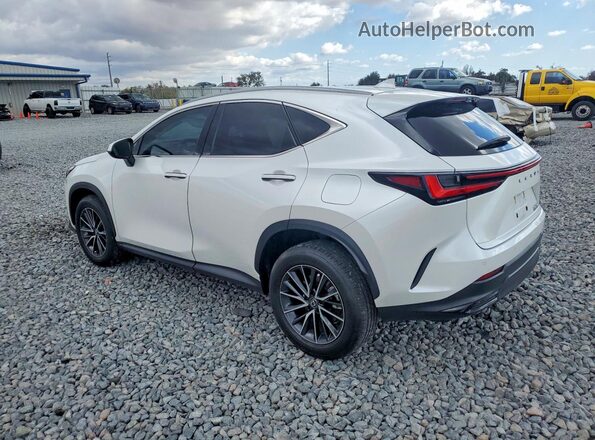 2T2GDCAZ6RC012279 2024 LEXUS NX White უკანა მარცხენა
