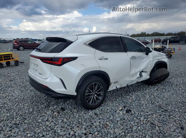 2T2GDCAZ6RC012279 2024 LEXUS NX White უკანა მარჯვენა