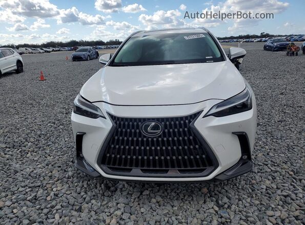 2T2GDCAZ6RC012279 2024 LEXUS NX White წინა ხედი