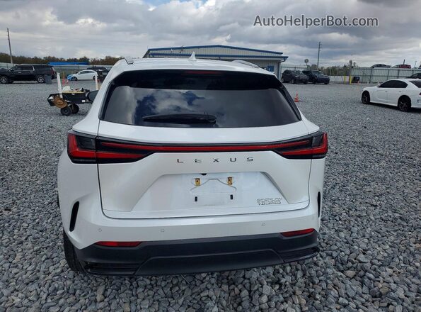 2T2GDCAZ6RC012279 2024 LEXUS NX White უკანა ხედი