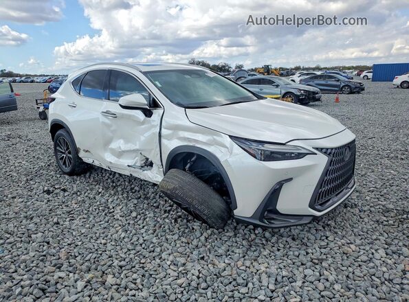 2T2GDCAZ6RC012279 2024 LEXUS NX White წინა მარჯვენა