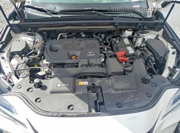 2T2GDCAZ6RC012279 2024 LEXUS NX White ძრავის განყოფილების ხედი