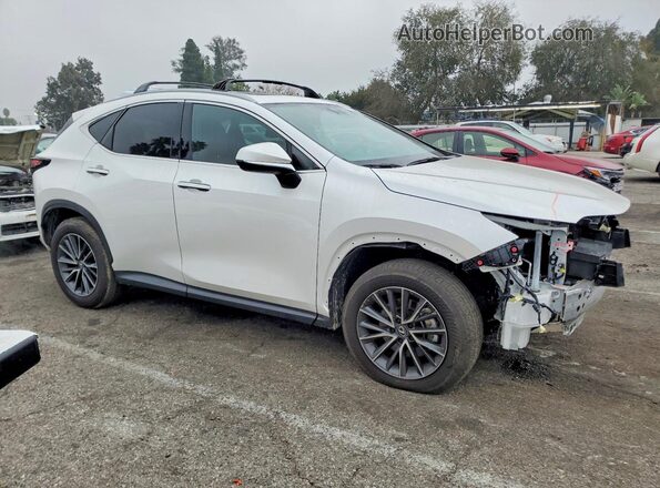 2T2GDCEZ6SC007311 2025 LEXUS NX White წინა მარჯვენა