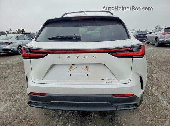 2T2GDCEZ6SC007311 2025 LEXUS NX White უკანა ხედი