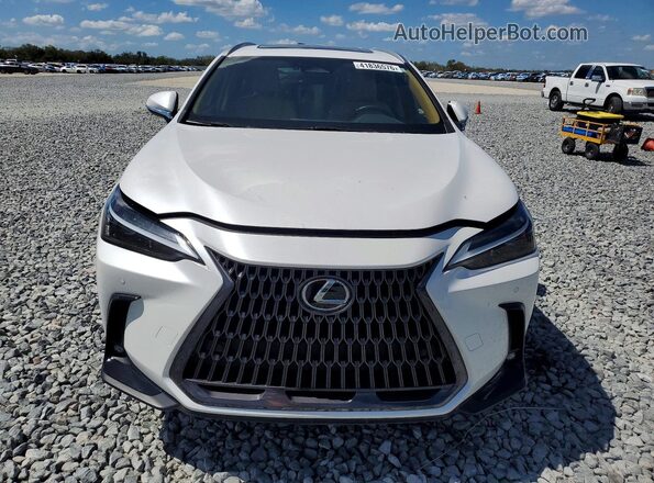 2T2GGCEZ1NC011570 2022 LEXUS NX White Вид спереду