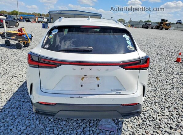 2T2GGCEZ1NC011570 2022 LEXUS NX White Вид ззаду
