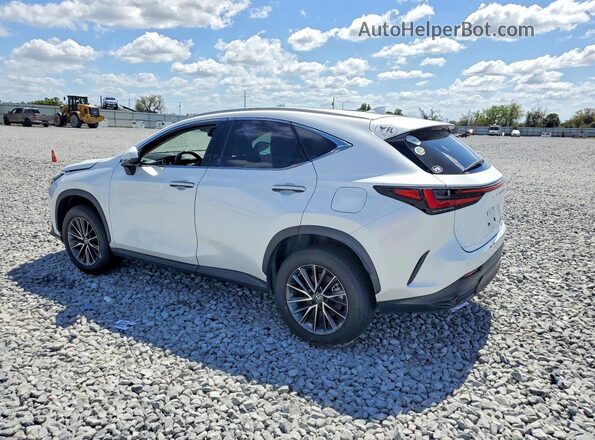 2T2GGCEZ1NC011570 2022 LEXUS NX White Задня ліва чверть