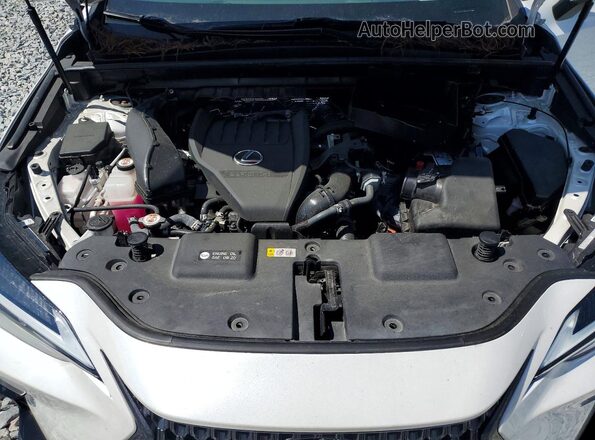 2T2GGCEZ1NC011570 2022 LEXUS NX White Вид задньої частини салону