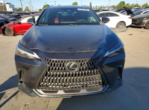 2T2GGCEZ2PC029322 2023 LEXUS NX Серый Вид спереди