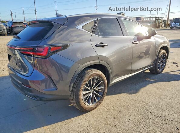 2T2GGCEZ2PC029322 2023 LEXUS NX Серый Задняя правая четверть
