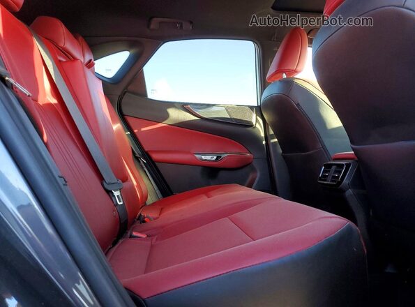 2T2GGCEZ2PC029322 2023 LEXUS NX Серый Вид задней части салона