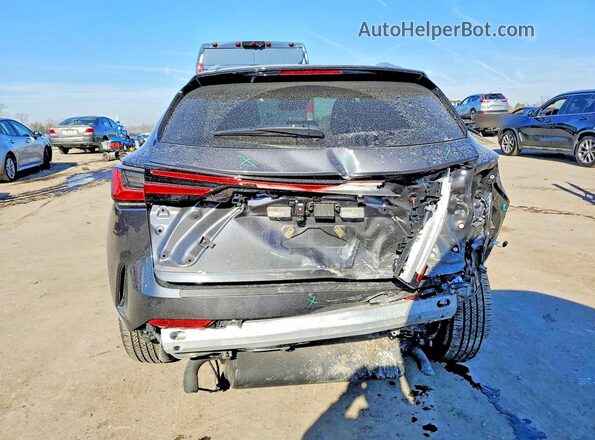 2T2GGCEZ3SC067876 2025 LEXUS NX Gray Widok z tyłu