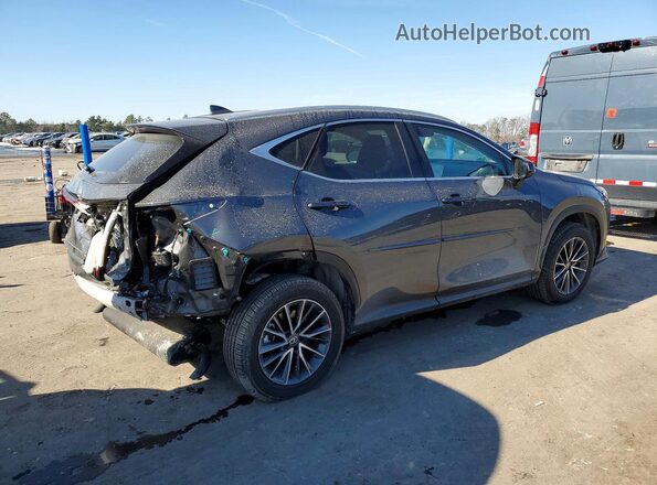 2T2GGCEZ3SC067876 2025 LEXUS NX Gray Tył prawy