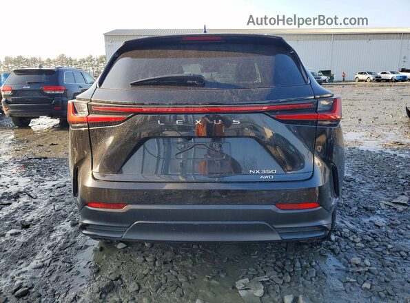 2T2GGCEZ5RC054752 2024 LEXUS NX Black უკანა ხედი