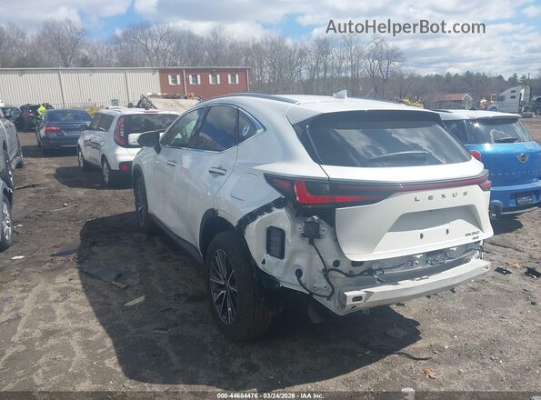 2T2GGCEZ5SC087031 2025 LEXUS NX 350 White Tył lewy