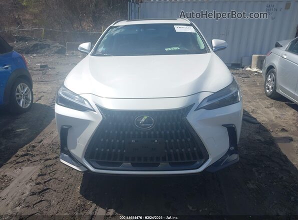 2T2GGCEZ5SC087031 2025 LEXUS NX 350 White Widok wnętrza z tyłu