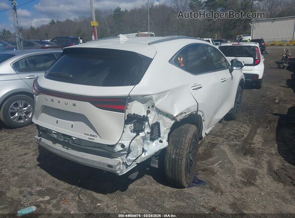 2T2GGCEZ5SC087031 2025 LEXUS NX 350 White Tył prawy
