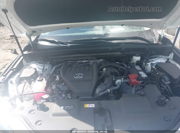 2T2GGCEZ5SC087031 2025 LEXUS NX 350 White Widok z tyłu