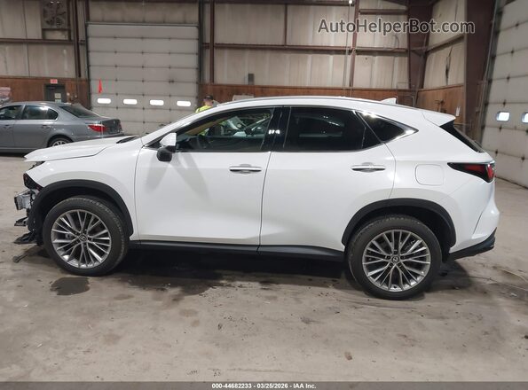 2T2GGCEZ5TC107845 2026 LEXUS NX 350 White Панорамний вид салону 360°