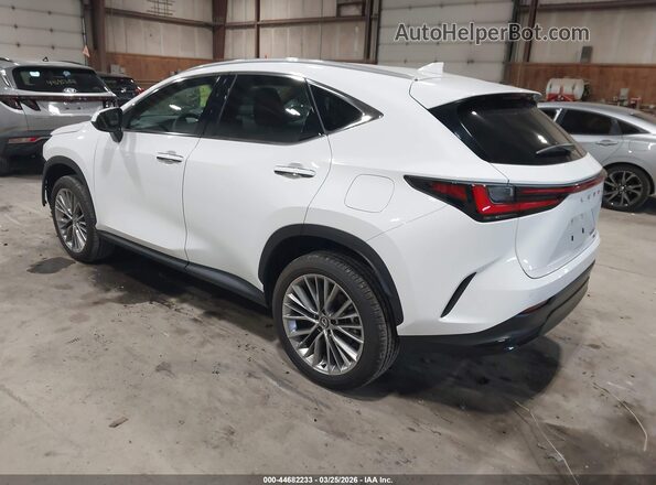 2T2GGCEZ5TC107845 2026 LEXUS NX 350 White Задня ліва чверть