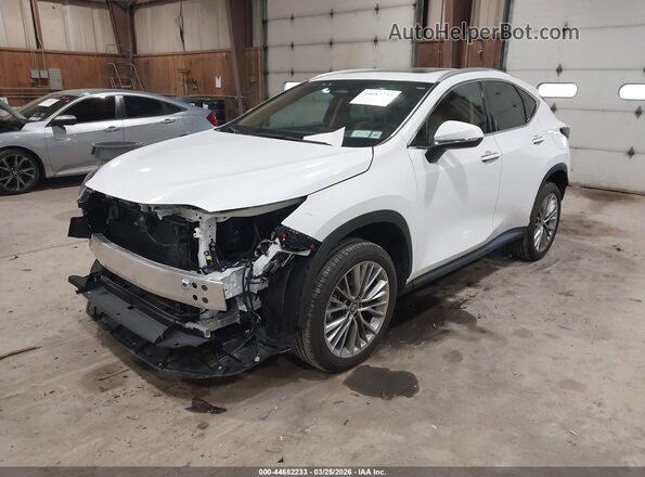 2T2GGCEZ5TC107845 2026 LEXUS NX 350 White Передня ліва чверть