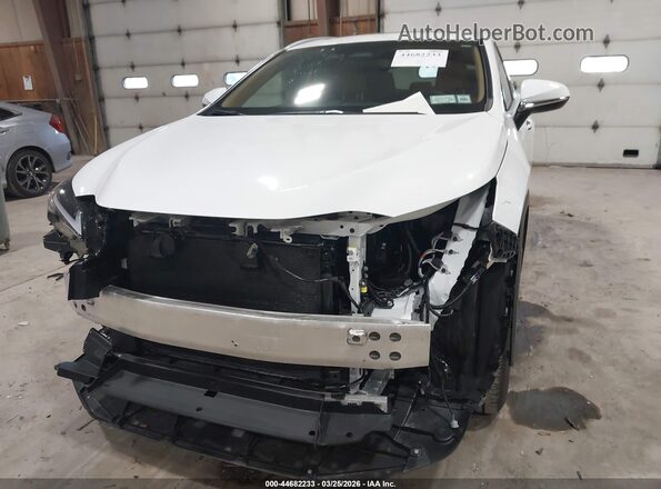 2T2GGCEZ5TC107845 2026 LEXUS NX 350 White Вид спереду