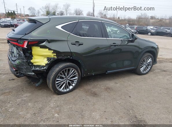 2T2GGCEZ7SC076290 2025 LEXUS NX 350 Зеленый Задняя правая четверть