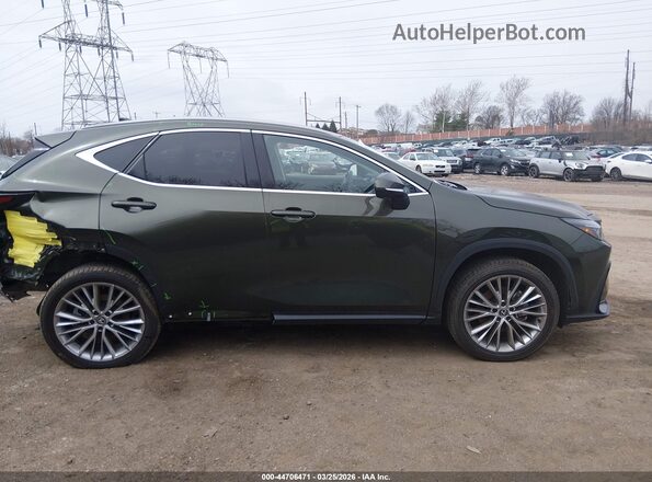 2T2GGCEZ7SC076290 2025 LEXUS NX 350 Зеленый Панорамный вид салона 360°