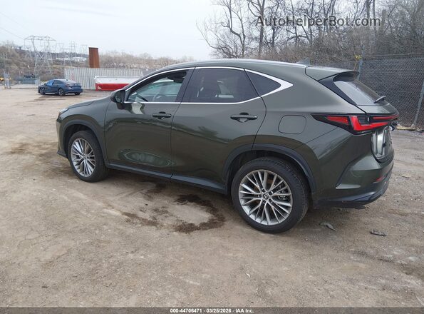 2T2GGCEZ7SC076290 2025 LEXUS NX 350 Зеленый Задняя левая четверть