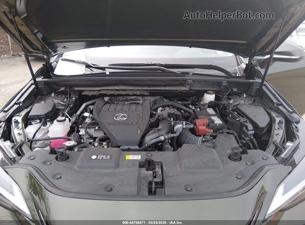 2T2GGCEZ7SC076290 2025 LEXUS NX 350 Зеленый Вид сзади
