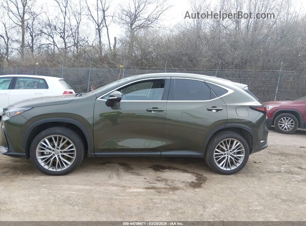 2T2GGCEZ7SC076290 2025 LEXUS NX 350 Зеленый 