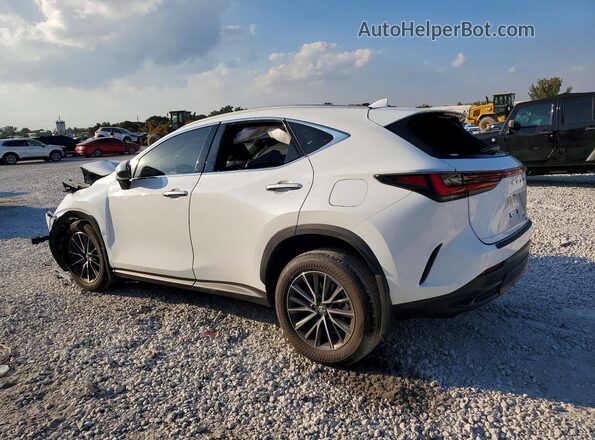 2T2GGCEZ8TC096212 2026 LEXUS NX Белый Задняя левая четверть